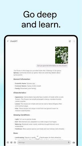 I-download ang ChatGPT: Ang Iyong AI Assistant para sa Lahat - Screenshot 16