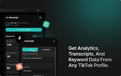 Tokscript: Ang Pinakamahusay na TikTok Analytics at Downloader - Screenshot 4