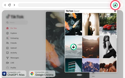 TikTok Video Downloader: I-download ang TikTok Videos nang Walang Watermark - Screenshot 3