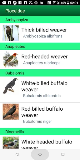 I-download ang Birds of Eastern Africa – Gabay sa 1882 Species - Screenshot 3
