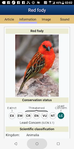 I-download ang Birds of Eastern Africa – Gabay sa 1882 Species - Screenshot 5