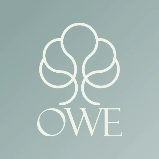 I-download ang OWE App – Ang Iyong Korean Skincare Expert